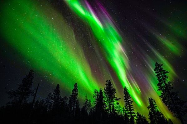 Family Friendly Northern Lights Evening from Rovaniemi, 3 Hours