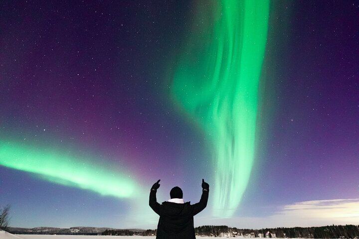 Chasse aux aurores au départ de Rovaniemi : maximum 8 participants, kilométrage illimité, durée jusqu'à 12 heures (9/12)