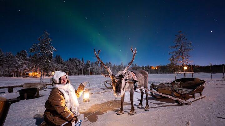 Ranua Aurora Activity Park After Dark with Sauna and Reindeer