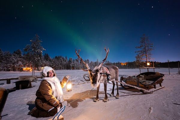 Ranua Aurora Activity Park After Dark with Sauna and Reindeer