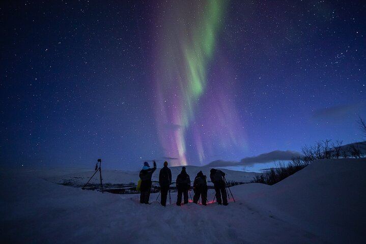 Northern Lights Expedition from Tromso for Six with an Arctic Photo Guide (12/12)