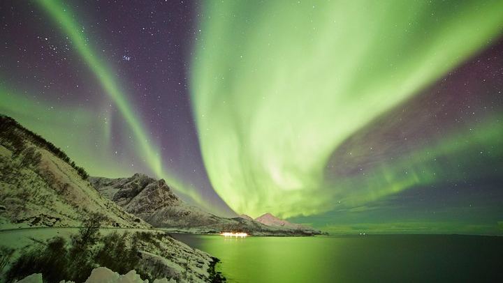 Northern Lights Minivan Excursion from Tromso, 8 Guests per Van (1/8)