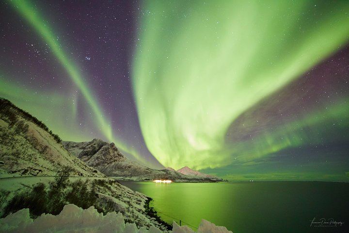 Northern Lights Minivan Excursion from Tromso, 8 Guests per Van (1/8)