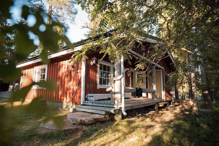 Lapland Night: Finnish Sauna, Ice Swimming, Dinner and Northern Lights (7/12)