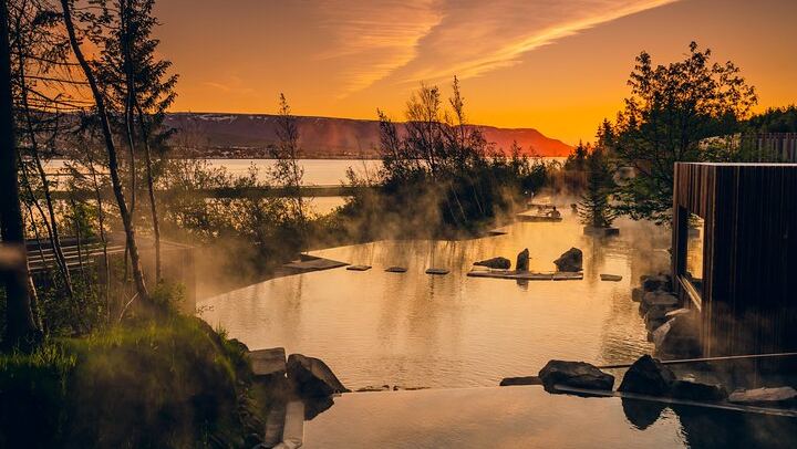 Forest Lagoon Geothermal Baths and Northern Lights Night from Akureyri (1/6)