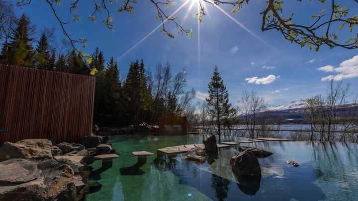 Forest Lagoon Geothermal Baths and Northern Lights Night from Akureyri (2/6)