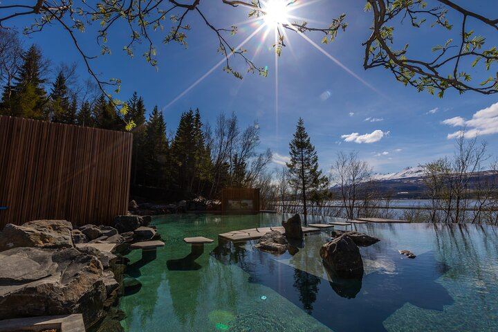 Forest Lagoon Geothermal Baths and Northern Lights Night from Akureyri (2/6)