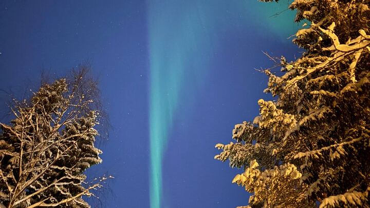 Das Rovaniemi Nordlichter-Camp am Olkkajärvi-See mit Snacks am Lagerfeuer (1/5)