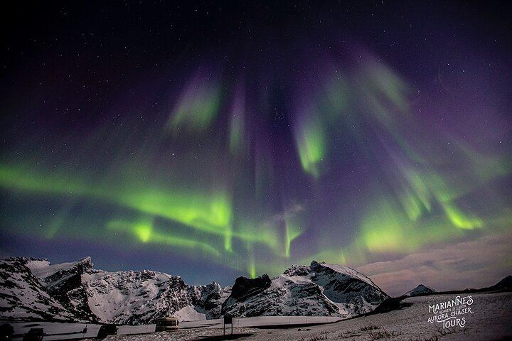 Marianne's Heaven On Earth Aurora Chaser Tours from Tromso (7/12)