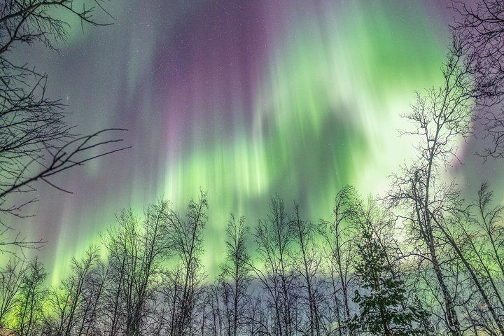 Private Northern Lights Tour from Tromso with Greenlander (2/7)