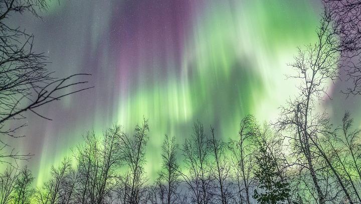 Private Northern Lights Tour from Tromso with Greenlander (2/7)