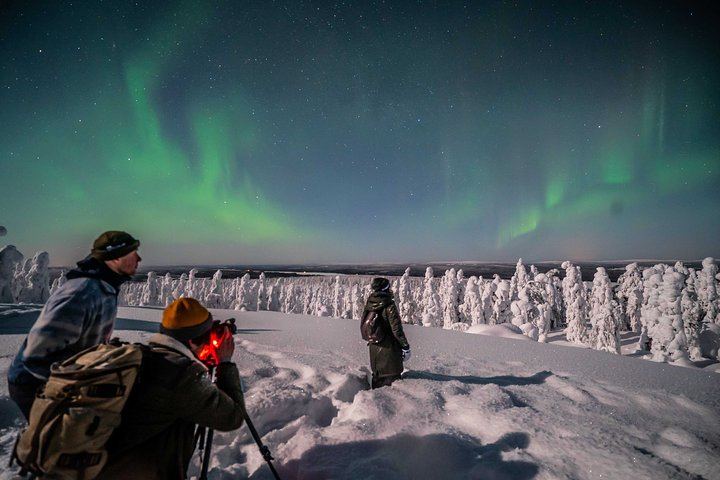 Private Northern Lights Photography Tour from Rovaniemi, 4 to 5 Hours (5/12)