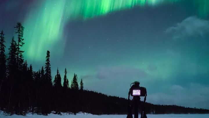 Guaranteed Aurora Hunt from Rovaniemi with a Local Wilderness Guide (4/9)