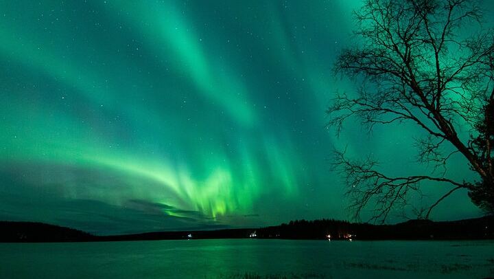 Guaranteed Aurora Hunt from Rovaniemi with a Local Wilderness Guide (3/9)