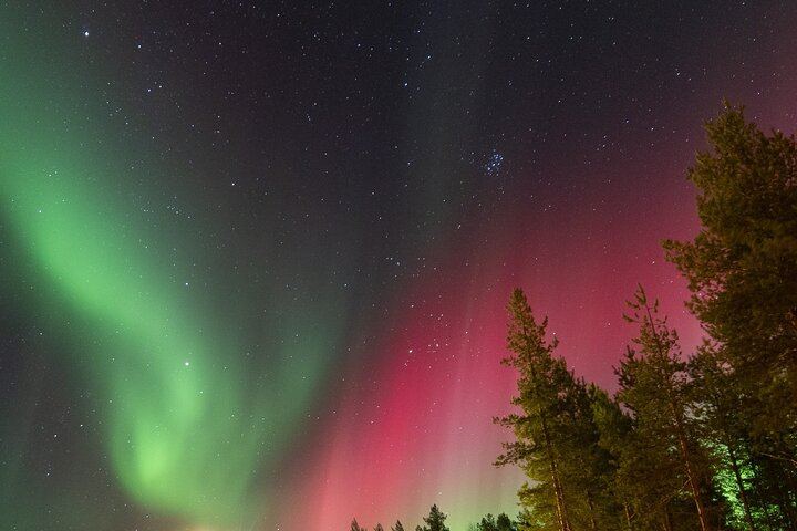 Guaranteed Aurora Hunt from Rovaniemi with a Local Wilderness Guide (5/9)