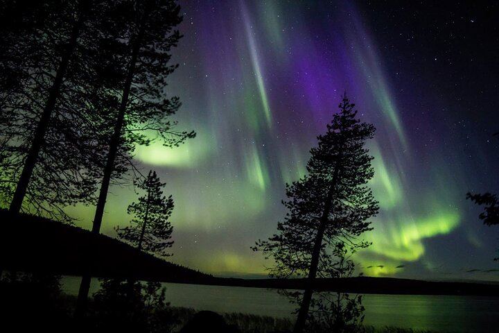 Guaranteed Aurora Hunt from Rovaniemi with a Local Wilderness Guide (7/9)
