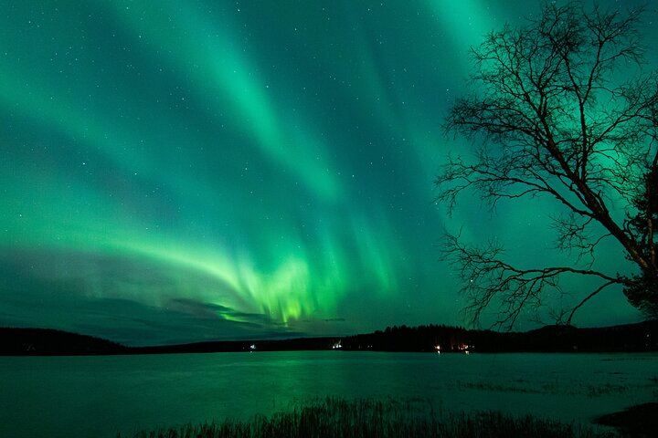 Guaranteed Aurora Hunt from Rovaniemi with a Local Wilderness Guide (3/9)