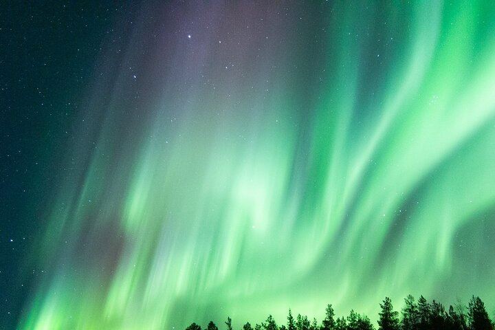 Guaranteed Aurora Hunt from Rovaniemi with a Local Wilderness Guide (6/9)
