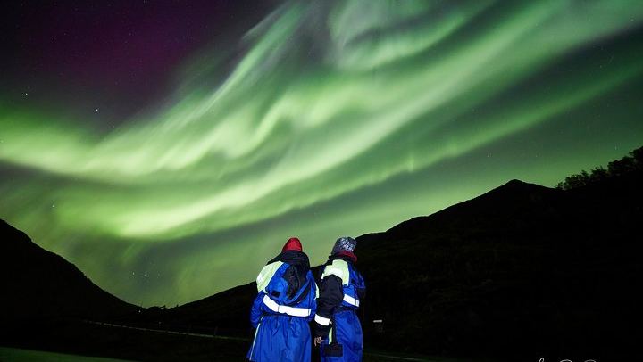 Northern Lights Minivan Excursion from Tromso, 8 Guests per Van (2/8)