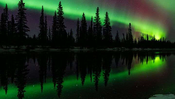 Half Night Personalised Aurora Chase and Photography from Fairbanks (2/5)
