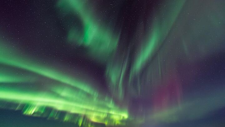 Half Night Personalised Aurora Chase and Photography from Fairbanks (4/5)