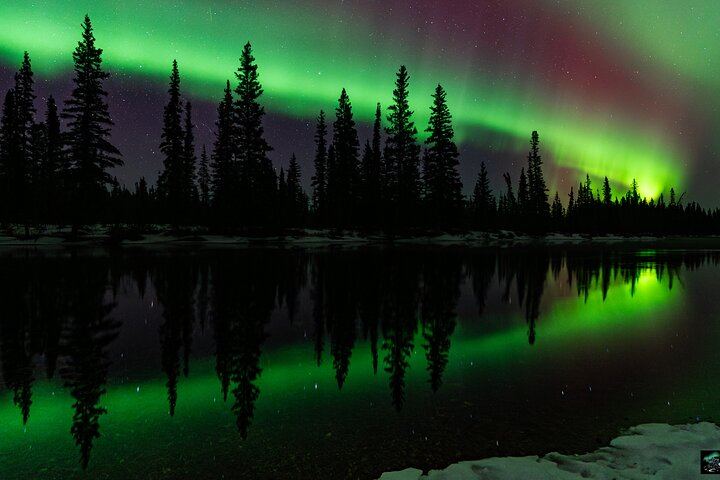 Half Night Personalised Aurora Chase and Photography from Fairbanks (2/5)