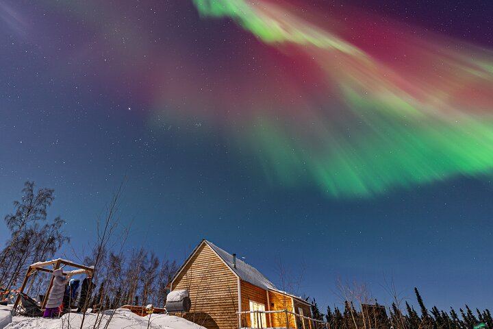 Half Night Personalised Aurora Chase and Photography from Fairbanks (5/5)