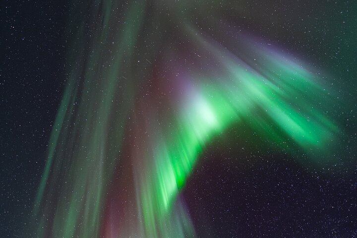 Half Night Personalised Aurora Chase and Photography from Fairbanks (3/5)