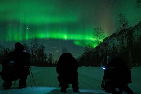 Tromso Express Aurora Hunt with a Guaranteed Four Hour Return