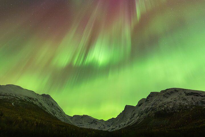 Northern Lights Tour from Tromso with Arctic Glow, Local Guides and Photos (10/12)