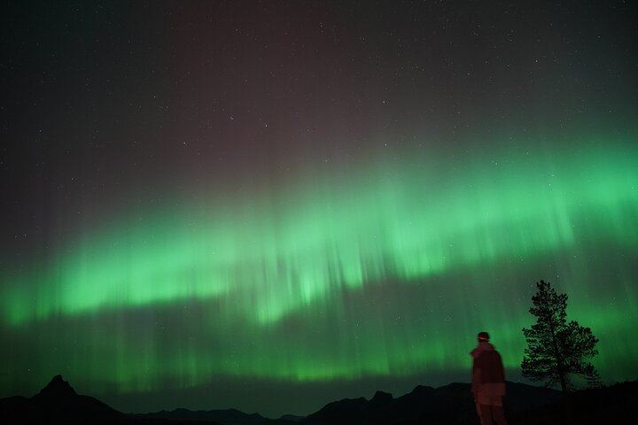 Northern Lights Safari from Bodo with Rampen (2/6)