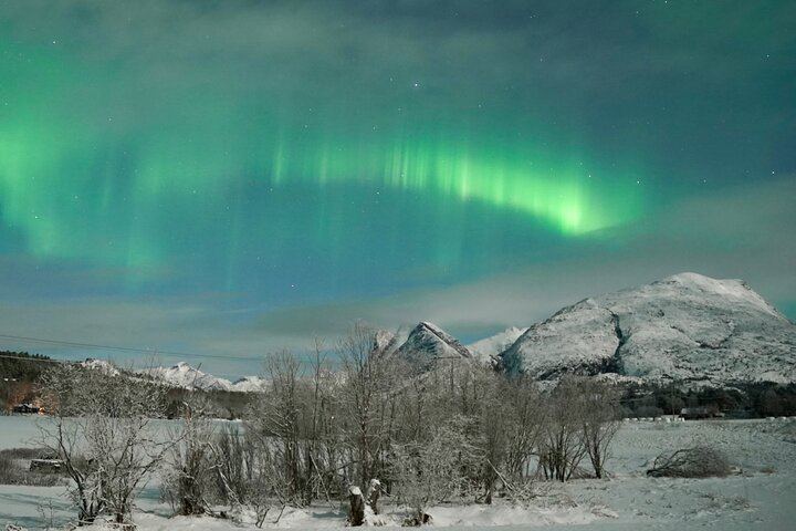 Northern Lights Safari from Bodo with Rampen (4/6)