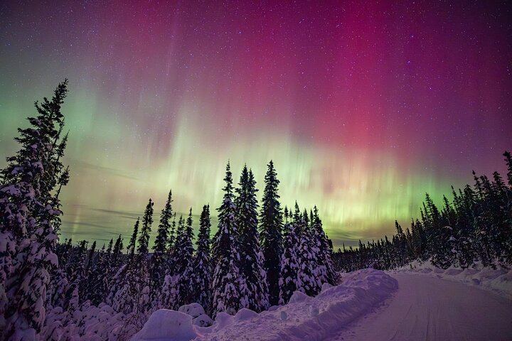 Northern Lights 4x4 Hunt from Reykjavík, Guided in Spanish (1/2)