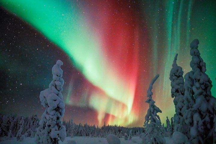 Snowmobile Aurora Hunt from Rovaniemi to a North Facing Hill (6/8)
