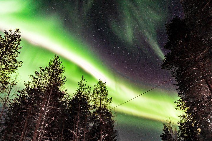 Night Snowmobile Safari from Saariselkä in Search of the Aurora (11/11)
