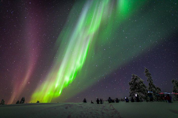 Night Snowmobile Safari from Saariselkä in Search of the Aurora (8/11)