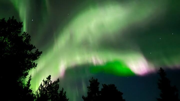 Husky Sled Ride and Northern Lights Tour from Kiruna