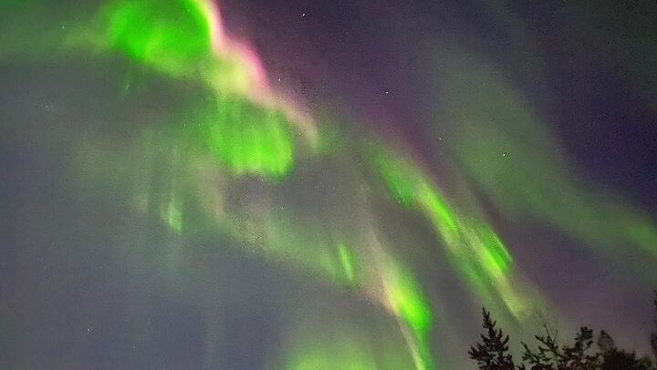 Husky Sled Ride and Northern Lights Tour from Kiruna (4/6)