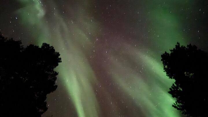 Husky Sled Ride and Northern Lights Tour from Kiruna (3/6)