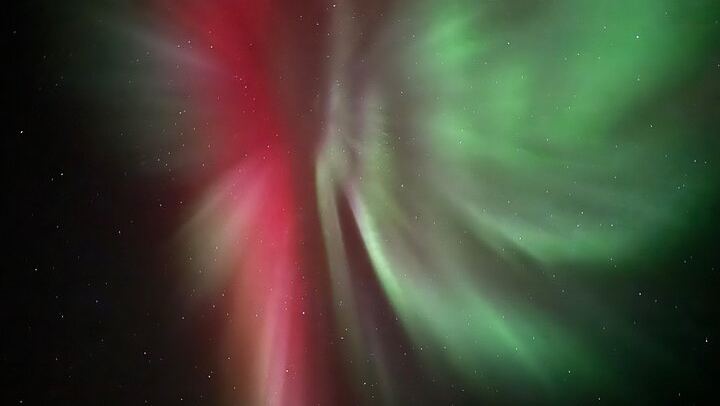 Husky Sled Ride and Northern Lights Tour from Kiruna (1/6)
