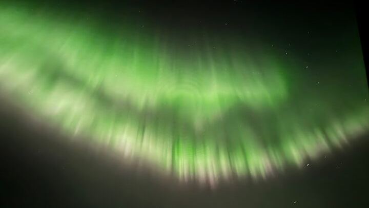 Husky Sled Ride and Northern Lights Tour from Kiruna (2/6)