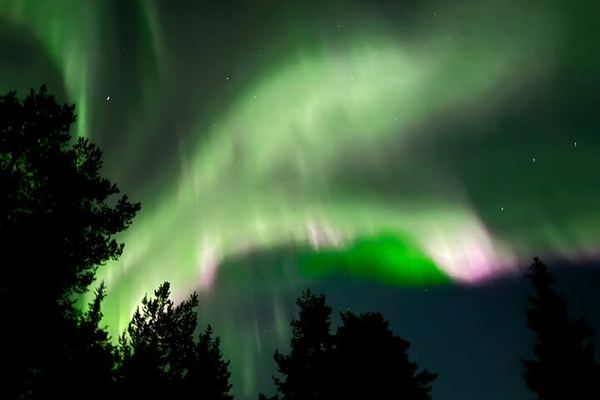 Husky Sled Ride and Northern Lights Tour from Kiruna