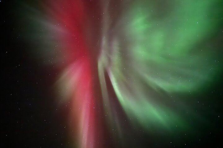 Husky Sled Ride and Northern Lights Tour from Kiruna (1/6)
