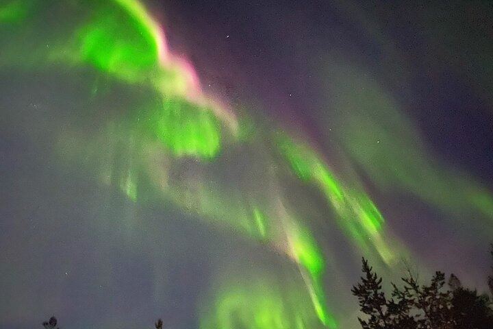 Husky Sled Ride and Northern Lights Tour from Kiruna (4/6)