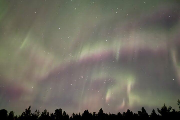 Husky Sled Ride and Northern Lights Tour from Kiruna (6/6)