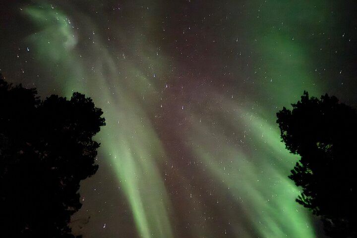 Husky Sled Ride and Northern Lights Tour from Kiruna (3/6)