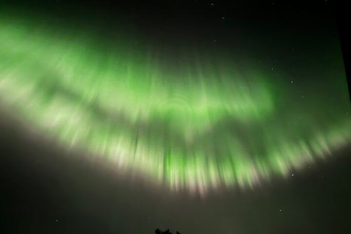 Husky Sled Ride and Northern Lights Tour from Kiruna (2/6)