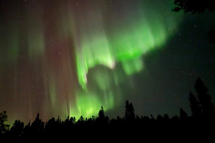 Husky Sled Ride and Northern Lights Tour from Kiruna (5/6)