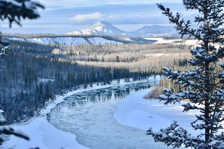 Northern Lights and Huskies at a Takhini River Dog Lodge (3/12)