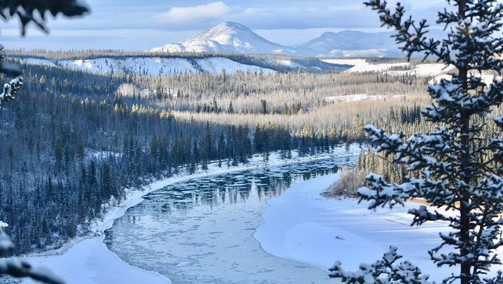 Northern Lights and Huskies at a Takhini River Dog Lodge (3/12)